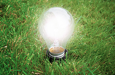 잔디에 놓여있는 전구 이미지